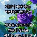 서귀포 매일 올레시장 구경하고 이미지