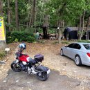 철마농장 이미지