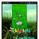 늘처음처럼 이미지