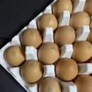 경식농장 이미지