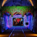 오미자 화장실 이미지