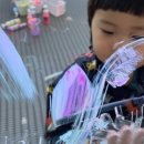 파레트팡 네이버블로그