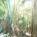 국립생태원 등 서천 탐방기 이미지