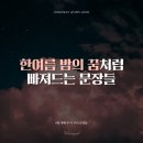 스타일입다별 이미지