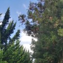 송암농원 이미지