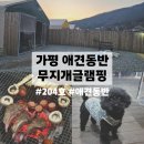 204 | [가평 애견동반 글램핑장] 3월말 가평 무지개 독채펜션 글램핑 204호 후기! / 내돈내산