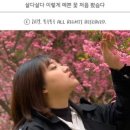 홍루이젠광주 이미지