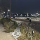 금강보행교 9 | 세종시 가볼만한 곳 야경이 아름다운 금강보행교 풍경