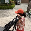 홈브리지 캐빈호스텔 | 아이와 에버랜드 숙소 : 캐빈호스텔 예약방법 : 주니어스위트
