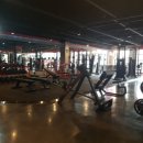 팀스파르타짐 이미지