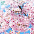 코비한의원 이미지