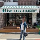 사리팜 | 대전 탄방동 [ 올리브팜 베이커리 ] 가오픈 신상 베이커리집 + 신당동떡볶이 즉석떡볶이