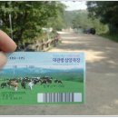 오두목장 Daum카페