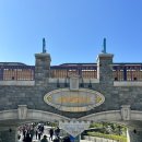 와이와이존 | 홍콩 디즈니랜드 겨울왕국 어트랙션부터 라이온킹 불꽃놀이 폐장 시간까지 즐기고 온 후기