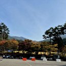 용인자연휴양림 광장 이미지