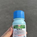 동부농약종묘사 이미지