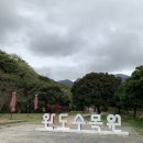 [수목원,정원 스탬프 투어] 9. 완도 수목원