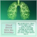 플러스팜
