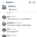 멜리플루어스