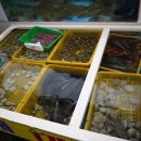 예지수산 이미지