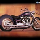 로드스타 이미지