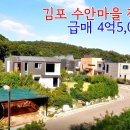 김포 수안마을 내 전원주택 급매가:4억5,000만원 이미지