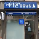 비타민 동물병원 | 관악구 봉천동 동물병원 비타민동물병원 위치 오는길 후기