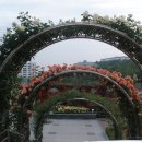 조선대(장미원) 이미지