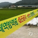 고령농장(2) 이미지