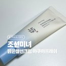 디 에이치 에스 | 조선미녀 맑은쌀선크림 아쿠아프레쉬 후기