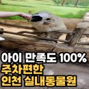 쥬벅스 | 인천실내동물원 추천｜인천아이들과가볼만한곳 서창동 쥬벅스 솔직후기