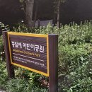 종달새어린이공원 이미지