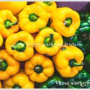 미래로성형외과의원 이미지