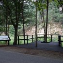 11215-화양-화양느티나무14 | 도명산 643m (괴산 가볼만한 곳 : 괴산 35명산, 여름산행지 / 여름휴가지 추천 : 화양구곡, 화양동계곡)