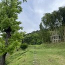[김해 카페] 주촌 코스트코 인근 뷰 좋은 대형카페 추천 / 라포레이팝 (애견동반 가능) / 내돈내산 후기