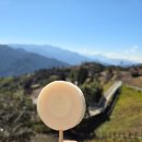 해상농장 | 🇹🇼 노랑풍선 대만 타이중&amp;타이베이 3박 4일 가족 해외여행 패키지 3일차 후기(20257.12.31.~2026.01.04.)