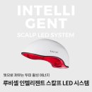 루비셀뷰티랩 이미지