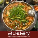 금나리 | 동명동 곱창 맛집 금나리곱창 후기, 미나리 추가 필수