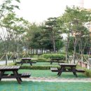 맑음터공원 캠핑장 이미지