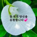 우리말 '괜찮아요'의 어원과 의미 이미지