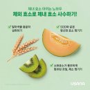 코리아헬스라이프 네이버블로그
