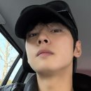 CHA CHA GYM 코리아타임스