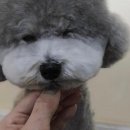 엔젤라유치원 이미지