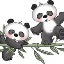 클릭 클릭 이미지