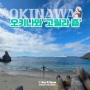 휴앤호텔 | 오키나와 고릴라춉 스노클링 프리다이빙 후기: 주차, 샤워실, 수심, 시야까지 한눈에 보기