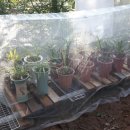 고담농장 이미지