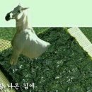 드립 Daum카페