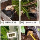 에버리움 이미지