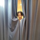 [웨딩] 리디아브라이드 드레스투어 후기 및 당일지정혜택 공유