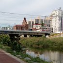 하천(대전천2) 이미지